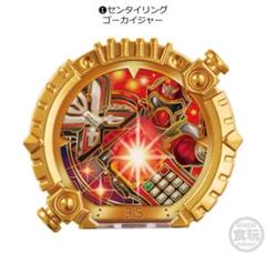 ゴーカイジャー レッド ブルー 指輪 海賊戦隊ゴーカイジャー ゴーカイレッド／キャプテン