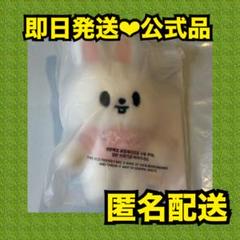 箱のみ。Stray Kids SKZOO Box 10cm ぬいぐるみ Fanmade BOX