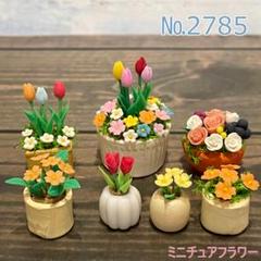 なおこ追加あられ⑱大きめ!❣️ ももホイップ❣️6苗メルカリ便送料込 なおこ様専用追加あられ⑱大きめ!❣️ ももホイップ❣️6苗