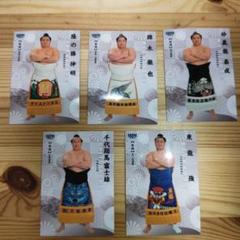 BBM2023 大相撲 トレーディングカード 5枚セット