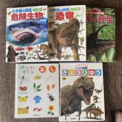 【まとめ売り】図鑑 恐竜 虫 昆虫 危険生物 きょうりゅう むし 5冊のサムネイル