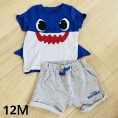 ベイビーシャーク　セットアップ　Babyshark