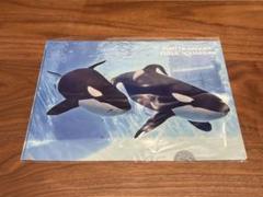 2025年最新】名古屋水族館 シャチの人気アイテム - メルカリ