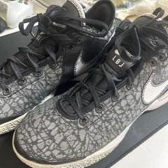 Nike LBJ バスケットボールシューズ