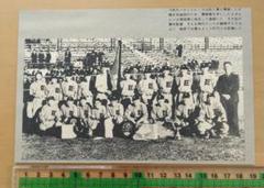 野球面子シート(スタルヒン)【昭和20年代・デッドストック】