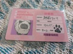 テニスの王子様☆越前リョーマ＆カルピン☆MIXMATCHカード　テニプリ　トレカ