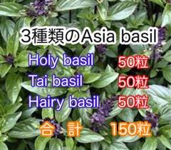 3種類アジアバジル種 ホーリーバジル タイバジルレモンバジル
