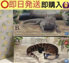 爬虫類&両生類～Tiny Friends～vol.2 ラストワン+B賞2セット