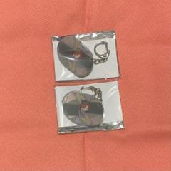 ミラーアクリルチャームコレクション MaM 三毛縞斑