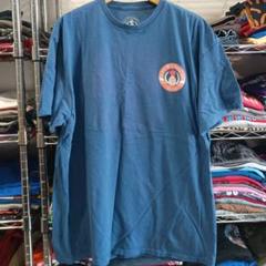 USA古着 パイナップル フルーツ両面プリントＴシャツ