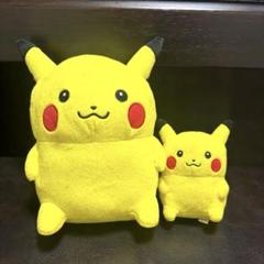 24じかんポケモンCHU ピカチュウ　ナガノ マスコット　2匹セット 2匹セット 24じかんポケモンCHU ピカチュウ ナガノ ぬいぐるみ