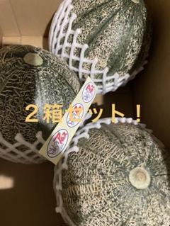 島根産アムスメロン秀5Lサイズ3玉入り✖️2箱セット！激安
