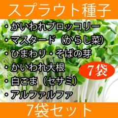 スプラウト種子まとめ買い7袋セット