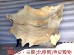 ⭐︎赤字見切り超激安⭐︎最終価格　蔵出し・白熊(北極熊)毛皮敷物 ⭐︎赤字見切り超激安⭐︎最終価格 蔵出し・白熊(北極熊)毛皮