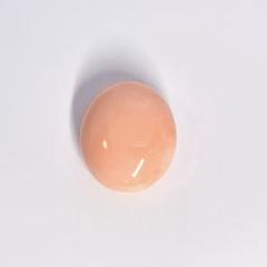 GRJ ソーティング 天然 さんご サンゴ 珊瑚 18.581ct ルース
