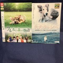 ウルルの森の物語 / 名犬ラッシー DVD 2作品セット