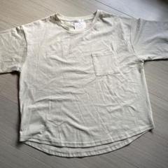 レディースカットソーTシャツ