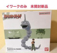 ポケモン スケールワールド イワーク＆タケシセット 開封済み7日