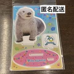 鳥羽水　70周年　記念•グッズ　アクリルスタンド　メイちゃん　キラちゃん　らっこ m77549794078_1.jpg?1743302807