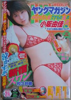 小阪由佳 小町桃子 グラビア切り抜き 週刊ヤングマガジン No.1309 希少品 小阪由佳 小町桃子 グラビア切り抜き 週刊ヤングマガジン No