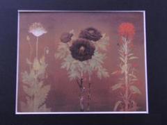 木下育應、【彩花炎々】、希少な額装用画集画、新品高級額 額装付、状態良好 木下育應、【彩花炎々】、希少な額装用画集画、新品高級額 額装