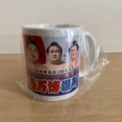 宇良 柔らか表面 缶バッジ 4個セット 大相撲 大相撲 幕内力士 缶バッジ 宇良 木瀬部屋 日本相撲協会 - メルカリ