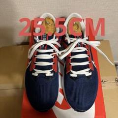 【希少】値下げ　限定Nike Pegasus 40 PSG パリサンジェルマン 希少】値下げ 限定Nike Pegasus 40 PSG パリサンジェルマン
