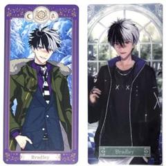 魔法使いの約束 まほやく ー華の魔法にかけられてー ネロ ブラッドリー セット ー華の魔法にかけられてーアクリルスタンド ブラッドリー