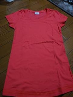 プラステ Tシャツ レディース