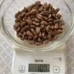 北海道十勝産 朝鮮五葉松 殻付き松の実 1kg｜Yahoo!フリマ（旧