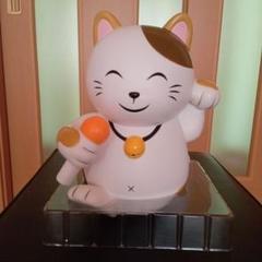 2025年最新】とら貯金箱の人気アイテム - メルカリ