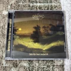 Netherbird / Into The Vast Uncharted