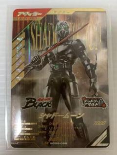 仮面ライダーBLACK シャドームーン LR