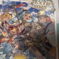 新品未開封 グラブルフェス extra 2025 パンフレット グラブル EXTRA フェス 2025 パンフレット 未開封 未使用 - メルカリ
