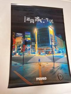 2025年最新】pedro 1週間逃亡生活の人気アイテム - メルカリ