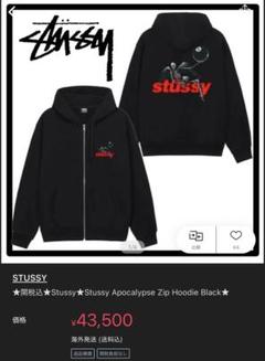 Stussy Apocalypse Zip Hoodie ブラック - メルカリ