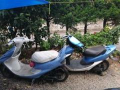 メルカリ少女 送料込み価格 2025年最新】dio zx 車体の人気アイテム - メルカリ