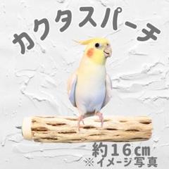 鳥用品 止まり木 カクタス スケルトン パーチ 中細 No.525