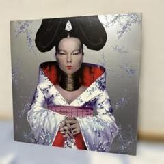 非売品 ビョーク björk ホモジェニック　販促　B2 ポスター 非売品 ビョーク bjork björk ホモジェニック 販促 B2 ポスター