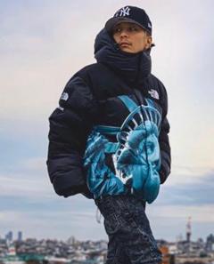 即購入OK Supreme North Face Baltro Jacket