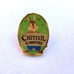 ピンバッチ　ディズニーランド　スプラッシュマウンテン