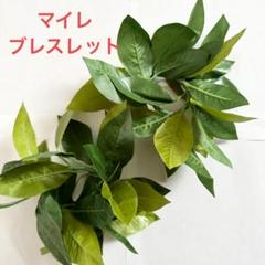 フラダンス 【マイレ】ブレスレット 2個セット 送料無料p