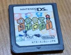 NintendoDS　咲かせて！ちびロボ！