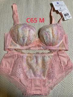 ⭐︎お値下げ中⭐︎【新品タグ付】ワコール パルファージュ C65 / M ⭐︎お値下げ中⭐︎【新品タグ付】ワコール パルファージュ C65