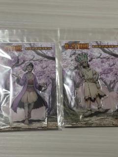 dr.stone アクリルスタンド 桜 花見 石神千空 あさぎりゲン