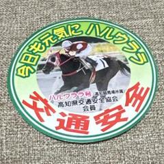 2025年最新】高知競馬ハルウララ号の人気アイテム - メルカリ