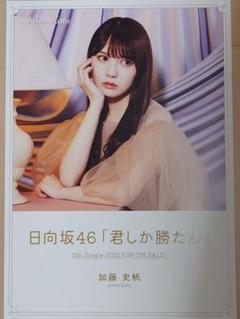 日向坂46 君しか勝たん　直筆　ポスター 日向坂46 君しか勝たん直筆サイン入りポスター - アイドル特別