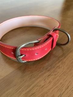 小型犬 首輪 レザーの中古 未使用品 メルカリ
