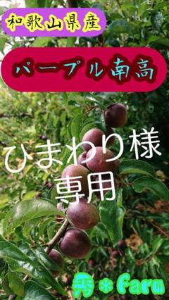 和歌山県産 パープル 南高 青梅 2kg