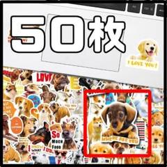 フレークシール ステッカー 犬 猫 ユニーク 可愛い 50枚 シール デコ 手帳